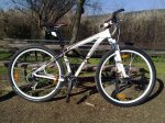29er1.JPG