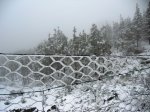 DSCN0289.jpg