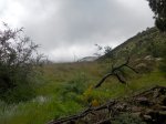 DSCN0269.jpg