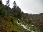 DSCN0275.jpg
