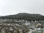 DSCN0280.jpg