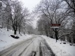 DSCN0290.jpg
