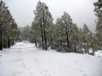 DSCN0285.jpg
