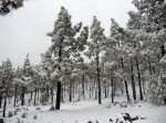 DSCN0287.jpg