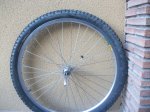 imgp37131.jpg