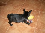 IMGP0826.JPG