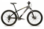 hardtail_orbea_pepper.jpg
