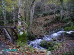 14. Ruta.JPG