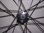 DSCN1695.JPG