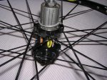 DSCN1681.JPG