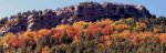 otoÃ±o.jpg