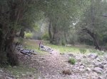 DSCN5594b.jpg
