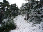 P0000019_redimensionar.JPG