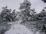 P0000021_redimensionar.JPG