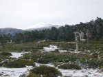 P0000034_redimensionar.JPG