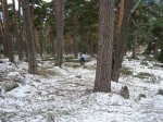 P0000037_redimensionar.JPG