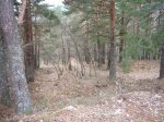 P0000052_redimensionar.JPG