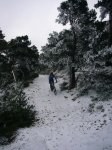 P0000063_redimensionar.JPG