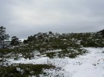 nieve 106_redimensionar.jpg