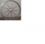 rueda 1.png