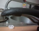 DSC00009 (Medium).JPG