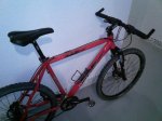 IMG081m.JPG