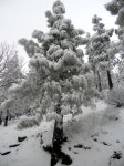 DSCN0292.jpg