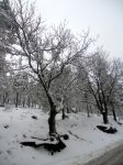 DSCN0291.jpg