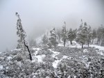 DSCN0293.jpg