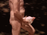 gallina.gif