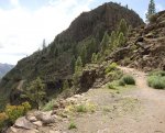 IMG_0602.jpg