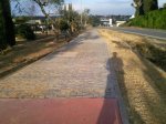 Foto0399.jpg