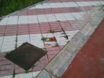 Foto0407.jpg