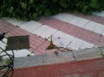 Foto0404.jpg