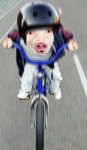 cerdo en bici.jpg