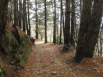 IMG_0520.JPG