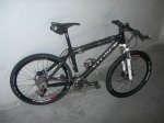 Storck 003.JPG