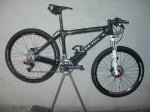 Storck 004.JPG