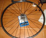 DSC08649.JPG