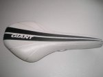 Giant 012.JPG