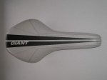 Giant 007.JPG