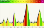 msr-profile.jpg