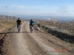 DSC01847.jpg