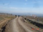 DSC01846.jpg