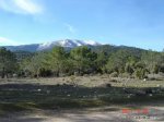 DSC01850.jpg