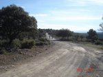 DSC01849.jpg