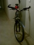 DSC00162.JPG
