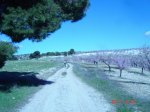 DSC01863.jpg