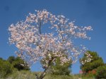 DSC01865.jpg