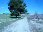 DSC01862.jpg